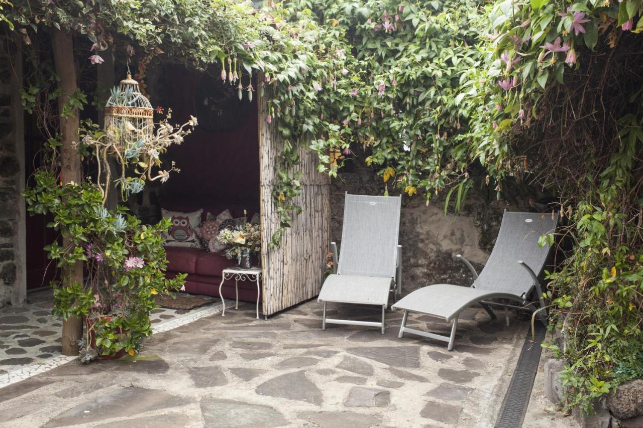 カリェタ Casas Maravilha By Madeira Sun Travelヴィラ エクステリア 写真