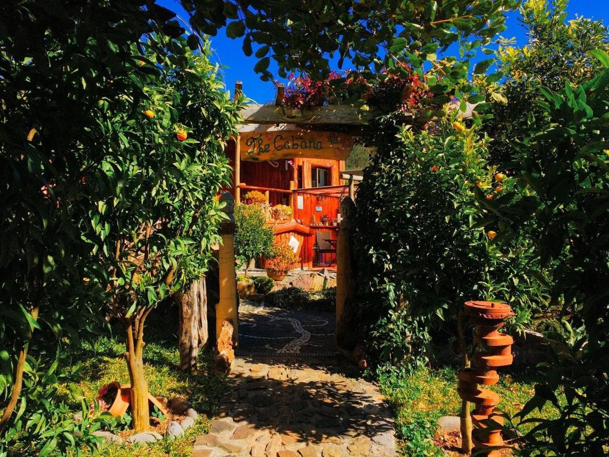カリェタ Casas Maravilha By Madeira Sun Travelヴィラ エクステリア 写真